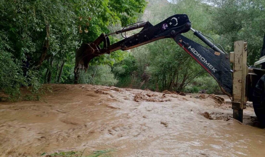 Malatya’nın Arapgir ilçesinde etkili olan sağanak yağışın ardından Kayaarası Kanyonu