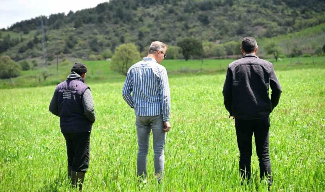 Manisa Büyükşehir Belediyesi’nin kırsal kalkınmayı desteklemek amacıyla hayata geçirdiği “Destek