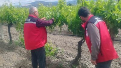 Türkiye’nin en önemli tarım merkezlerinden biri olan Manisa’da ekipler tarafından