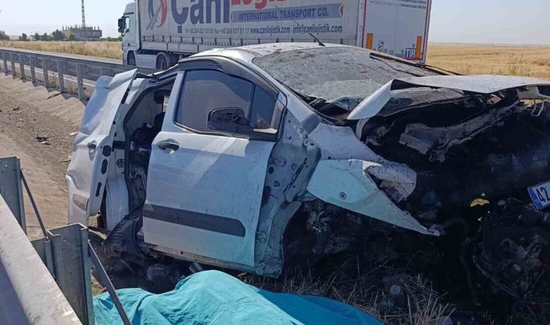 Mardin’in Nusaybin ilçesinde kontrolden çıkarak refüje çarpan otomobildeki 1 kişi