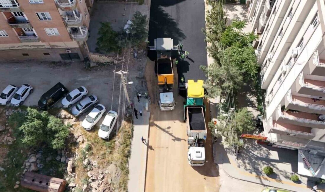 Mardin Valisi ve Büyükşehir Belediye Başkan Vekili Tuncay Akkoyun, merkez