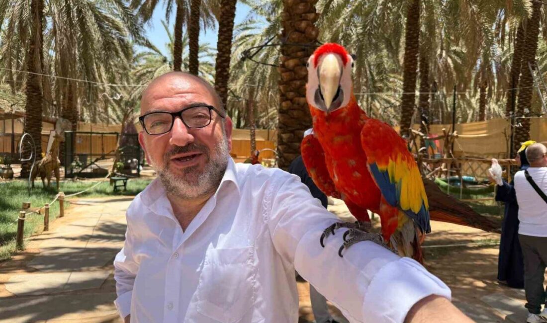 Medine’de hurma alışverişi için bahçeleri ziyaret eden hacı ve umreciler,