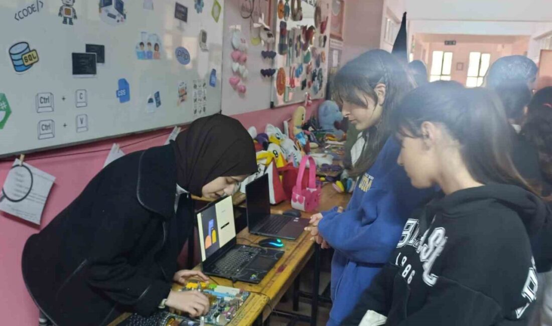 Van’ın Muradiye Kız Mesleki ve Teknik Anadolu Lisesi tarafından ilçedeki