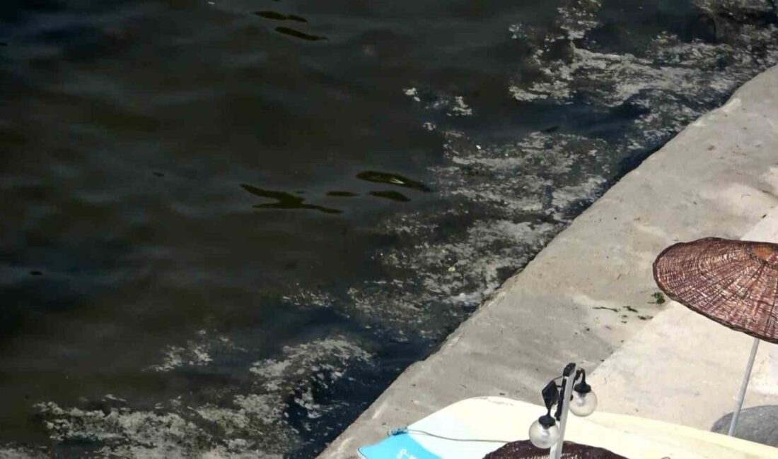 Marmara Denizi’nde son yıllarda dönem dönem etkisini gösteren müsilaj, Bursa’nın