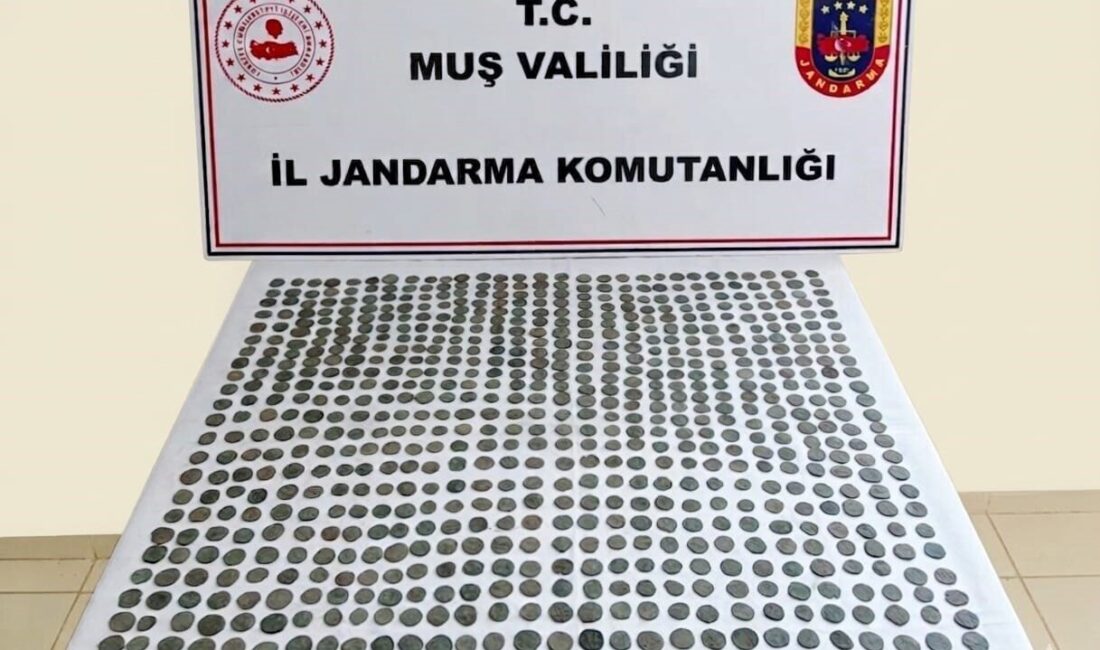 Muş’un Bulanık ilçesinde jandarma ekiplerince düzenlenen operasyonda, Bizans dönemine ait
