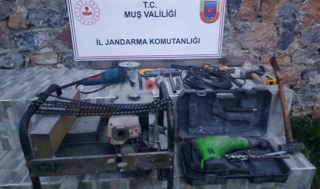 Muş’ta jandarma ekiplerince düzenlenen operasyonda kaçak kazı yaptığı değerlendirilen 3