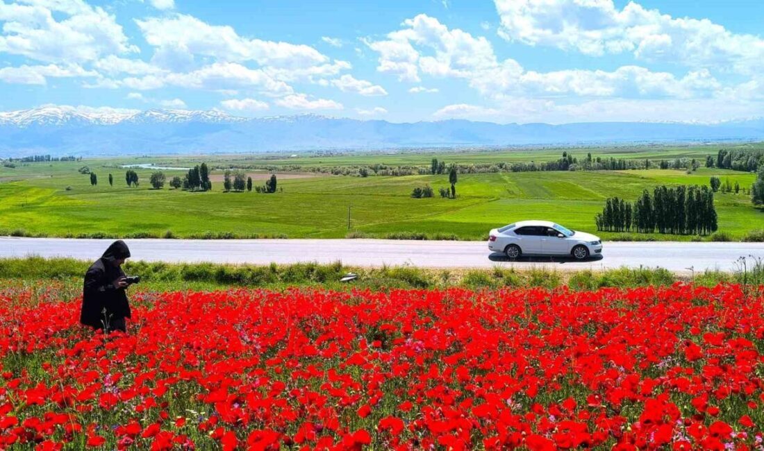 Muş’un Taşoluk köyünde yol kenarında doğal olarak oluşan ve geniş