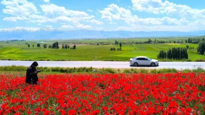 Muş’un Taşoluk köyünde yol kenarında doğal olarak oluşan ve geniş