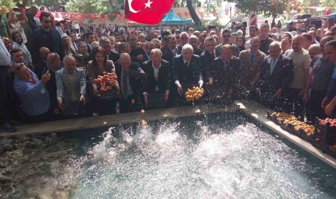 Mersin’in Mut ilçesinde bu yıl 64’üncüsü düzenlenen Karacaoğlan Kayısı Kültür