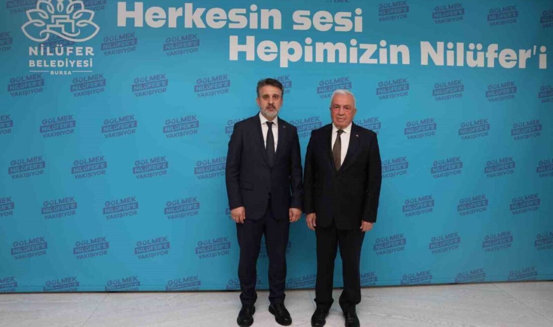 Nilüfer Belediye Başkanı Şadi Özdemir, Bursa Büyükşehir Belediye Başkan Vekili