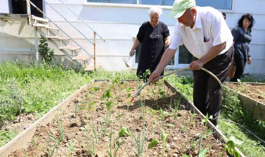 Nilüfer Belediyesi İnci ve Taner Altınmakas Huzurevi ile Lions ve