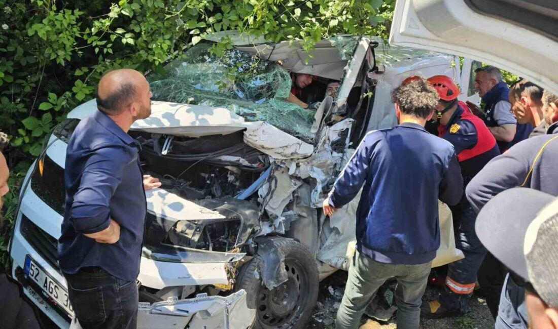 Ordu’nun Ünye ilçesinde, çöp kamyonu ile hafif ticari aracın kafa