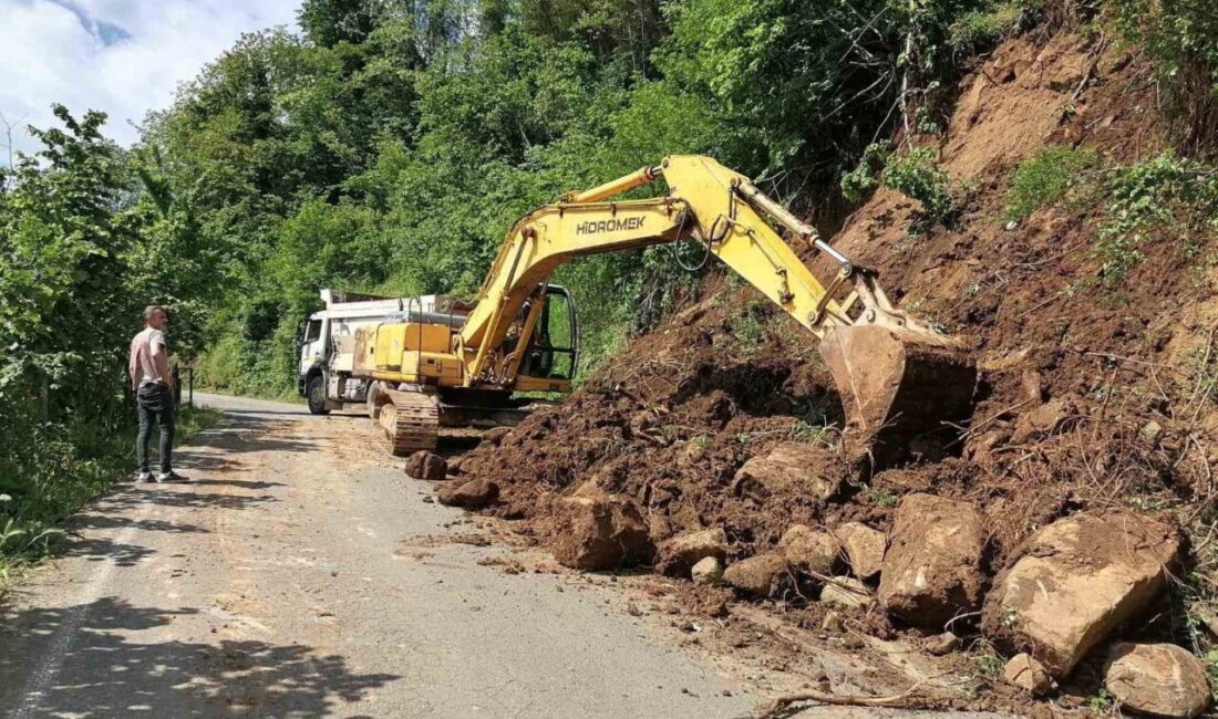 Ordu’da geçen hafta etkisini gösteren yoğun yağış sonrası yaşanan heyelanlar