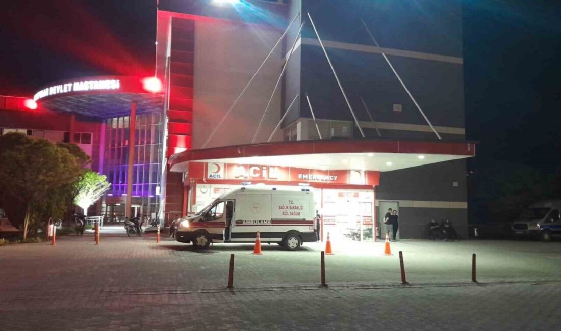 Konya’nın Karapınar ilçesinde meydana gelen trafik kazasında yola çıkan köpeğe