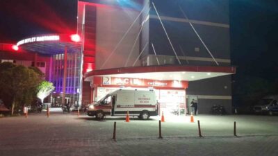 Konya’nın Karapınar ilçesinde meydana gelen trafik kazasında yola çıkan köpeğe