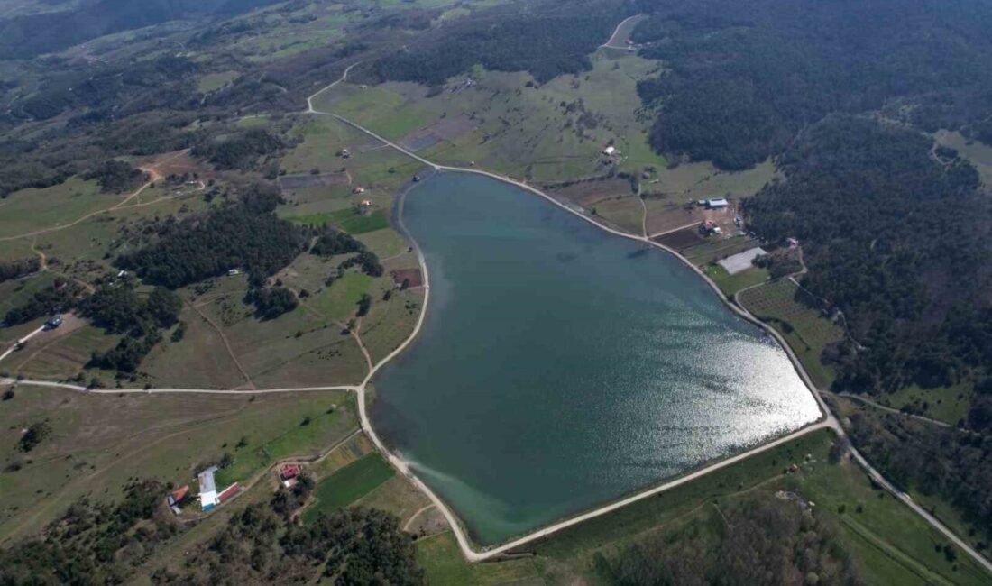 Sakarya’nın Pamukova ilçesinde 780 rakımda bulunan yapay göletli yayla, doğal