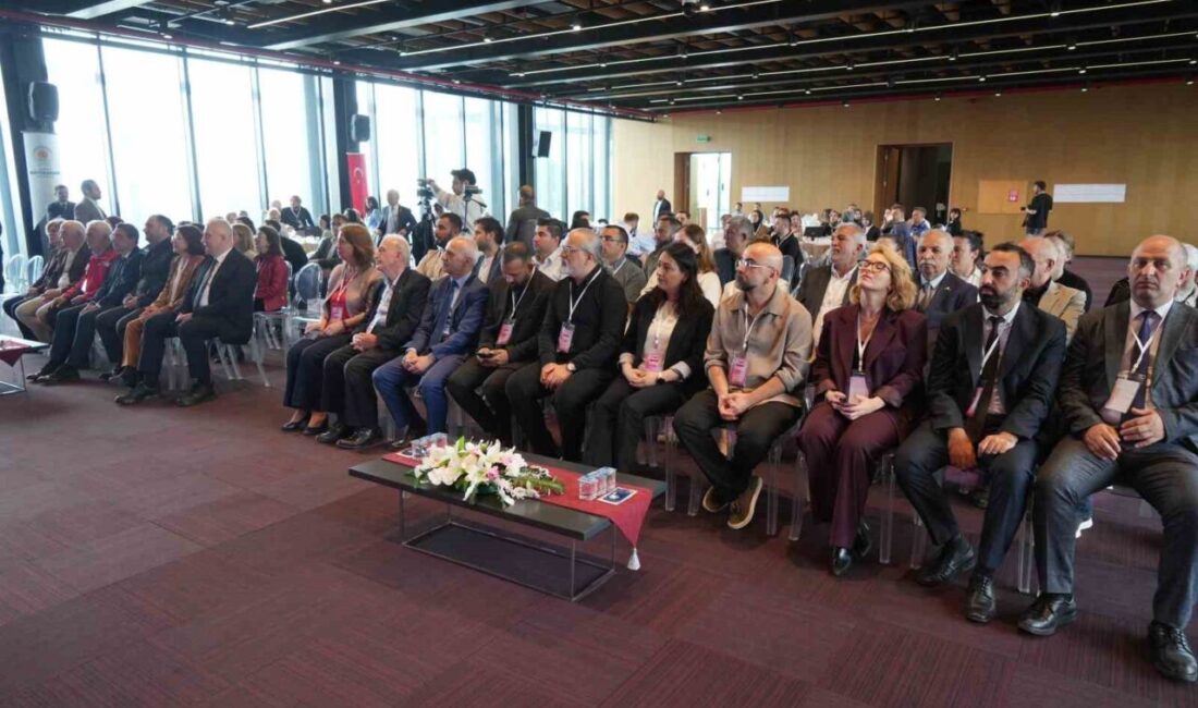 Samsun’da Roman vatandaşların yaşam kalitesinin artırılmasına yönelik hedefler Roman Strateji