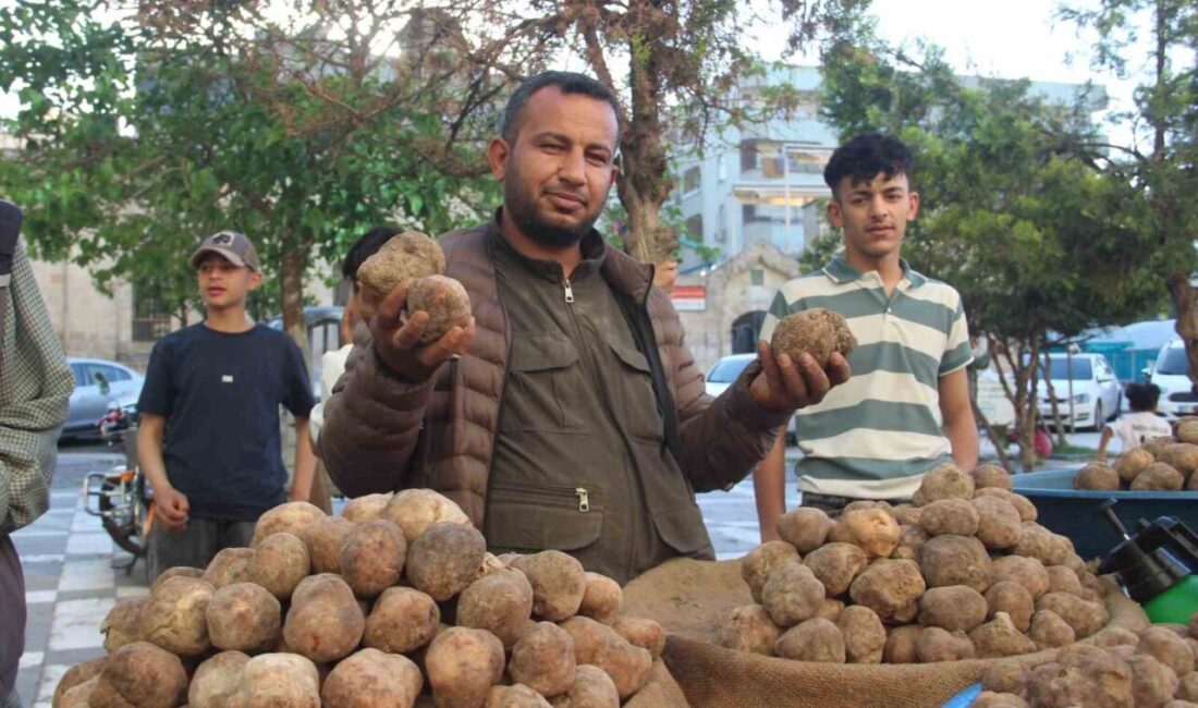 Şanlıurfa’da her yıl sadece nisan ve mayıs ayında ilkbahar yağışlarıyla