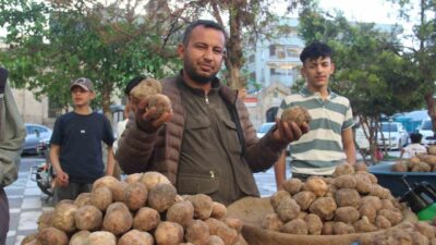 Şanlıurfa’da her yıl sadece nisan ve mayıs ayında ilkbahar yağışlarıyla