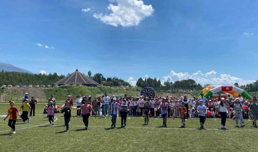 Kütahya’nın Şaphane ilçesinde Kaymakamlık, İlçe Milli Eğitim Müdürlüğü ve Gençlik
