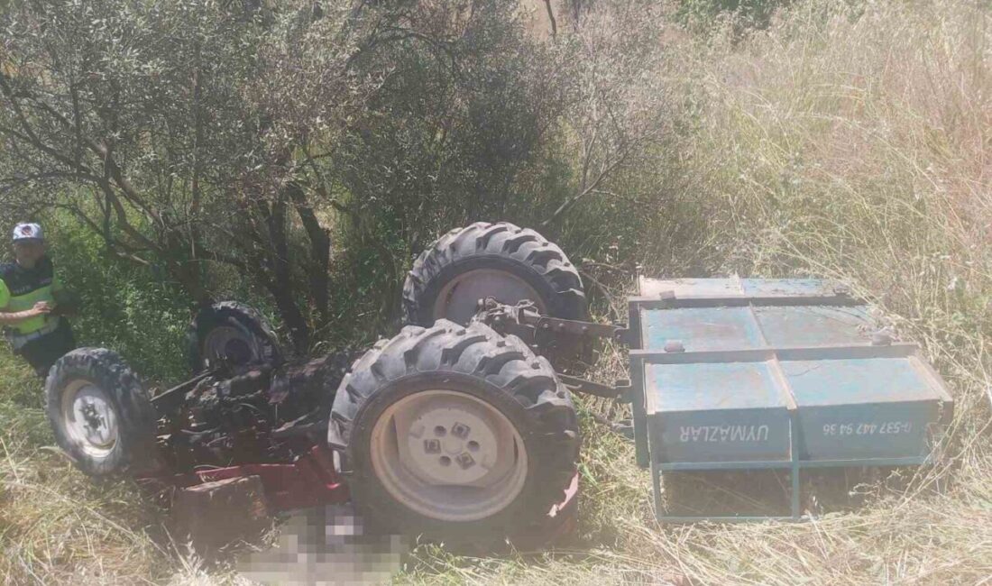 Manisa’nın Yunusemre ilçesinde kontrolden çıkarak zeytinliğe devrilen traktörün sürücüsü hayatını