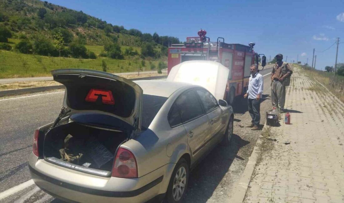 Adıyaman’ın Besni ilçesinde seyir halindeki bir otomobil alev alarak yandı.