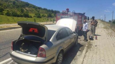 Adıyaman’ın Besni ilçesinde seyir halindeki bir otomobil alev alarak yandı.