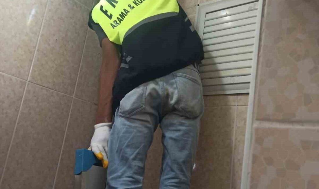 Siirt’in Eruh ilçesinde lavabo borusuna sıkışan yavru kedi, ihbar üzerine