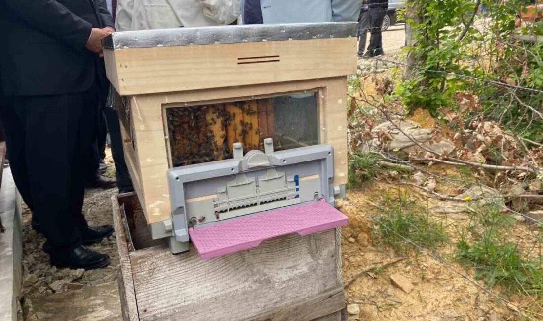 Tarım ve Orman Bakanlığınca hayata geçirilen “Bal Ormanı Eylem Planı”