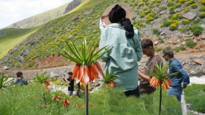Şırnak Doğa Koruma ve Milli Parklar Şube Müdürlüğü tarafından Bulakbaşı