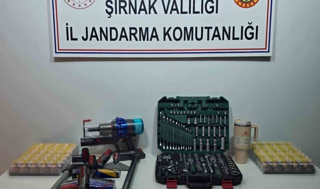 Şırnak’ta bir haftada yürütülen çalışmalarda çok sayıda kaçak ürün ele