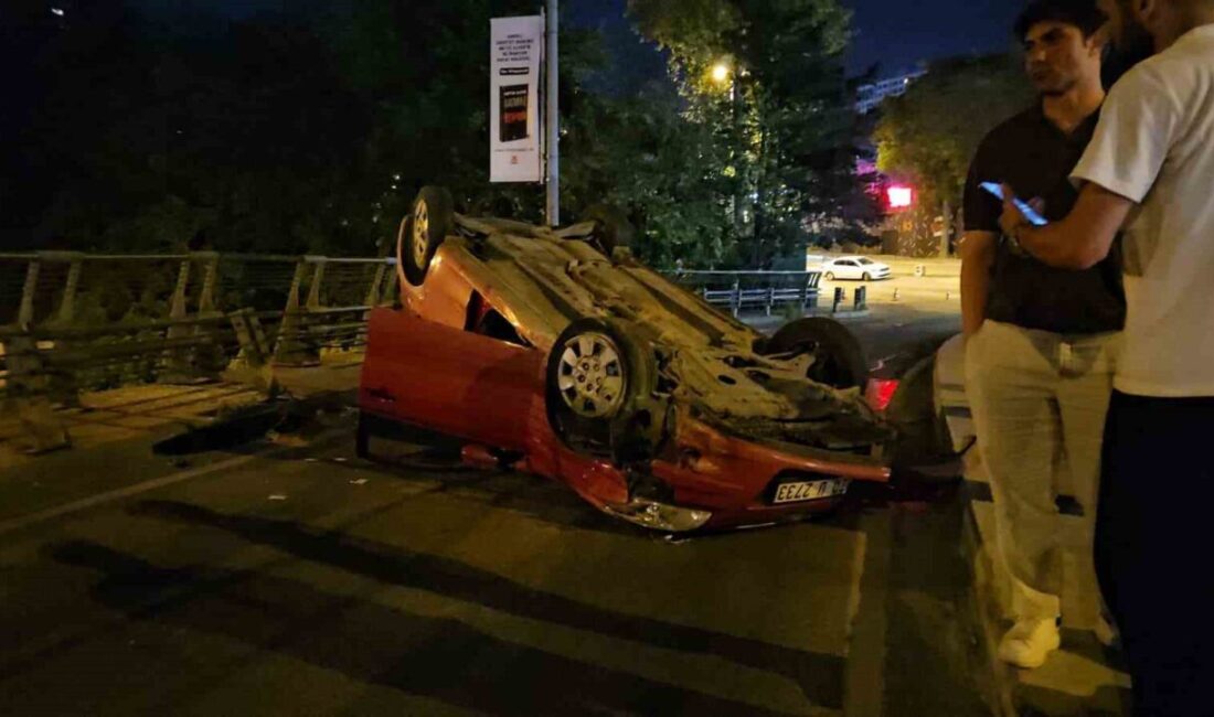 Şişli’de alkollü olduğu öğrenilen sürücü yoluna çıkan köpeğe çarpmamak için