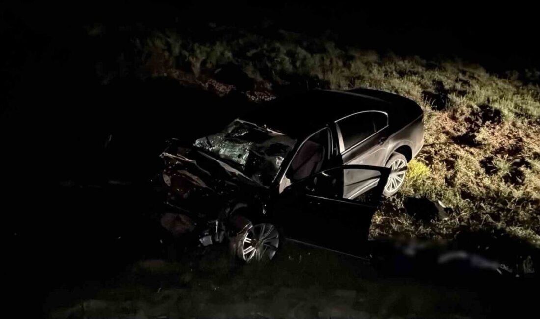 Sivas’ta iki aracın kafa kafaya çarpıştığı trafik kazasında 3 kişi