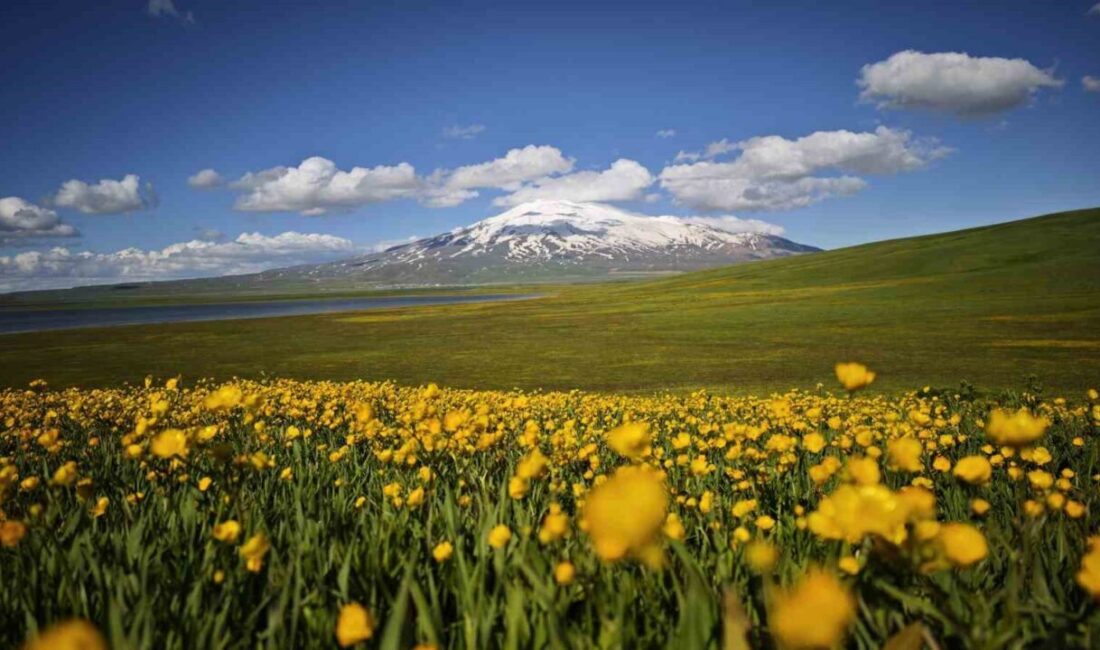 Bitlis’in Ahlat ve Adilcevaz ilçeleri sınırları içerisinde yer alan Sütey