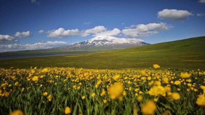 Bitlis’in Ahlat ve Adilcevaz ilçeleri sınırları içerisinde yer alan Sütey