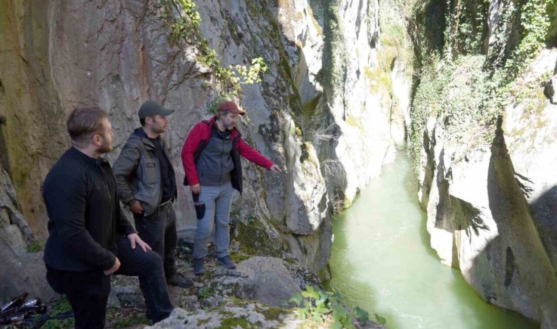 Kastamonu’nun Araç ilçesinde iki köy arasında yer alan ve tarihi