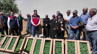 Tekirdağ’da 407 üreticiye toplam 256 bin adet yazlık sebze fidesi
