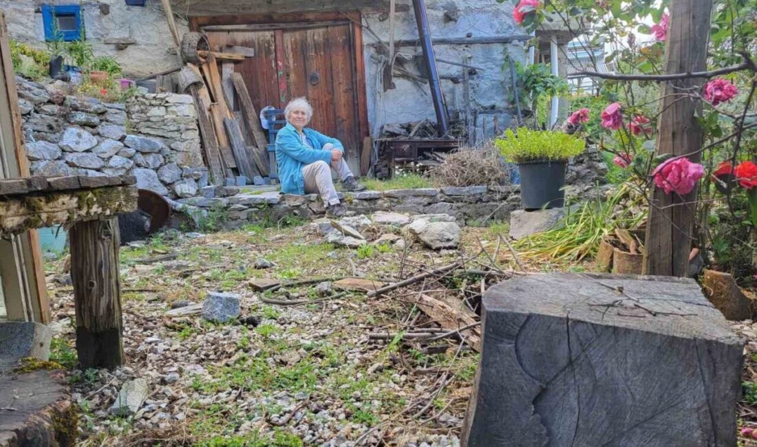 Uzun yıllar teknoloji ve yazılım dünyasının içinde yer alan, dijital