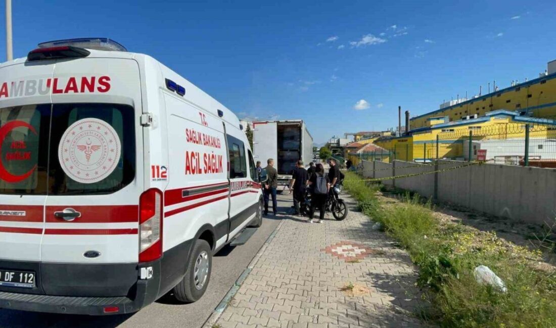 Karaman’da bir tır şoförü park halindeki tırının dorsesinde ölü bulundu.