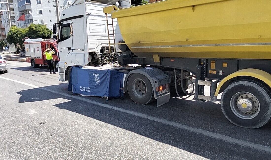 Muğla’nın Milas ilçesinde meydana gelen trafik kazasında, yolun karşısına geçmeye
