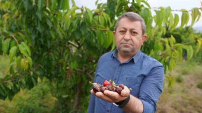 Tokat’ta son günlerde etkili olan yağışlar tarım arazilerinde büyük zarara