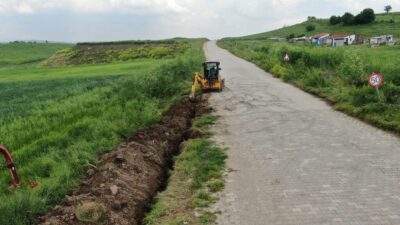 Eskişehir İnönü Belediyesi, ilçenin önemli değerlerinden biri olan ve yıllardır
