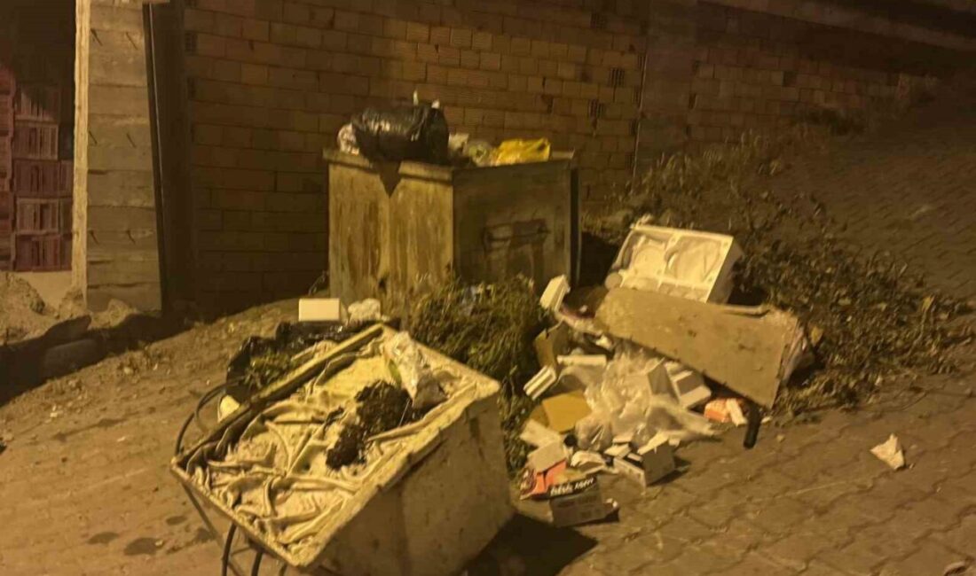 Zonguldak’ta toplanmayan çöpler vatandaşın tepkisine neden oldu. Zonguldak’ın bir çok