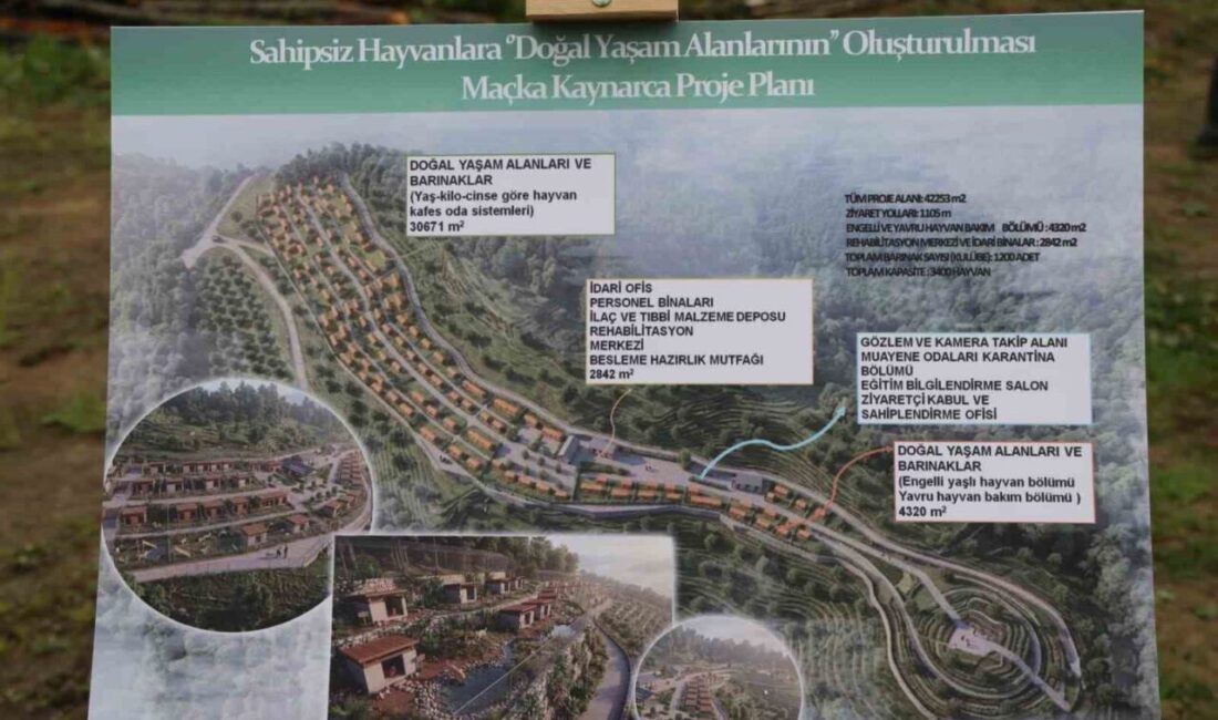 Trabzon’daki sahipsiz sokak hayvanları için Maçka’nın Kaynarca ve Akçaabat’ın Akçakale