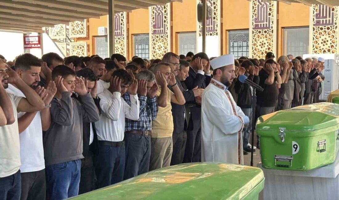 Sivas’ta iki aracın kafa kafaya çarpıştığı trafik kazasında ölen Özkan