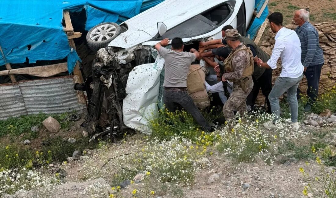 Tuzluca-Iğdır karayolunda kontrolden çıkan otomobilin şarampole devrildiği kazada 2 kişi