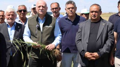 Aksaray’ın Sultanhanı ilçesinde dolu yağışından zarar gören tarım arazilerinde incelemelerde