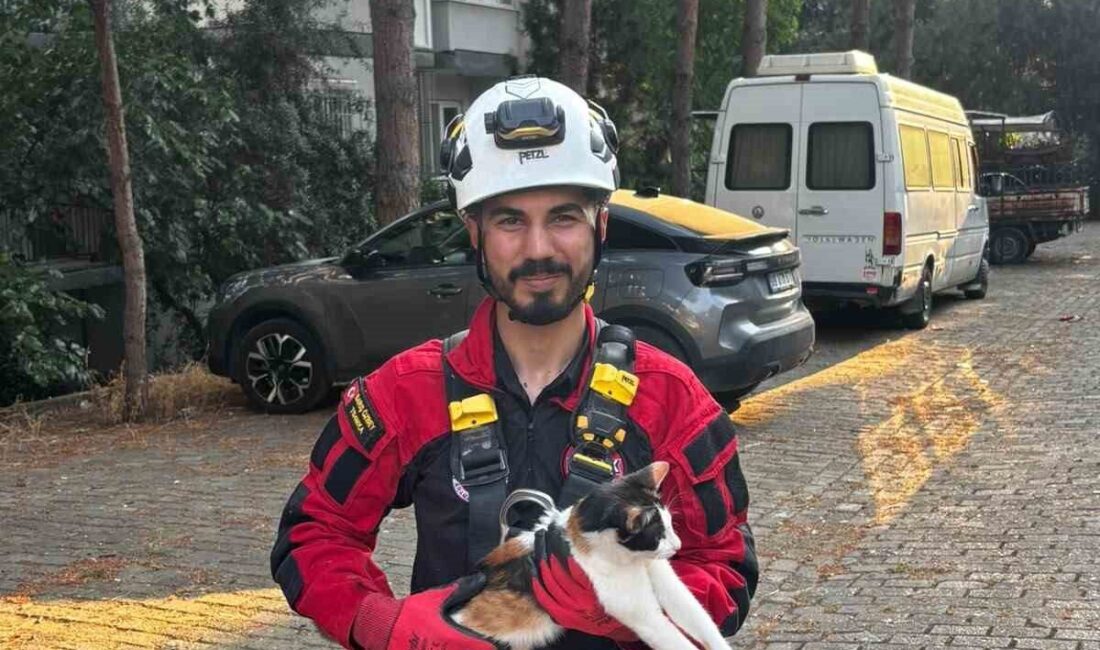 Aydın’ın Efeler ilçesi Girne Mahallesi’nde çam ağacında 3 gün boyunca