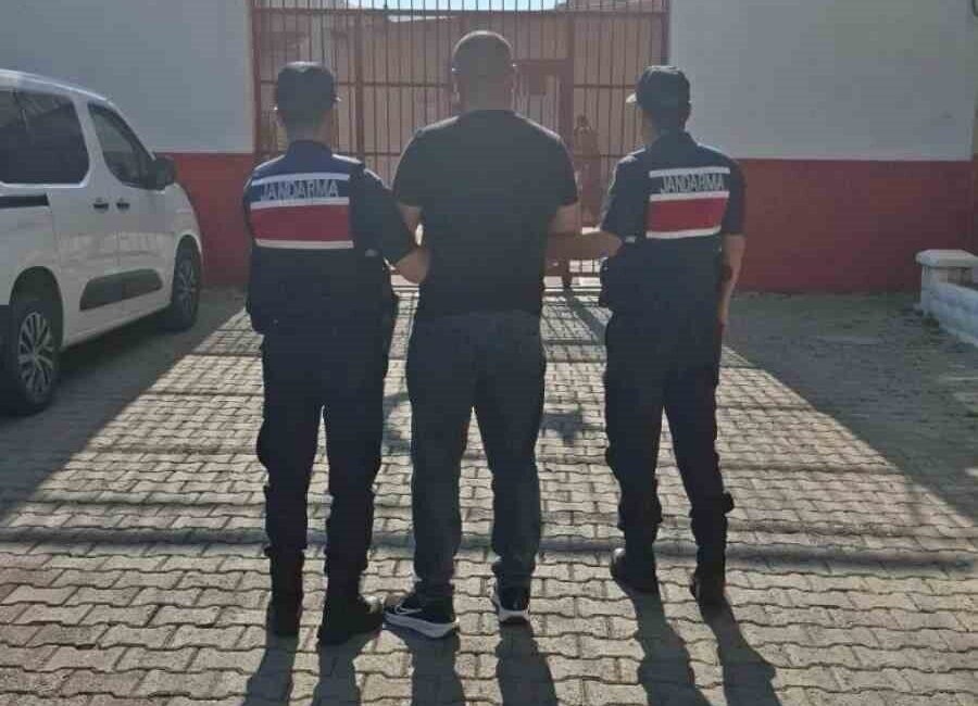 Aydın’ın İncirliova ilçesinde jandarma ekiplerince düzenlenen operasyonlarda, haklarında kesinleşmiş hapis