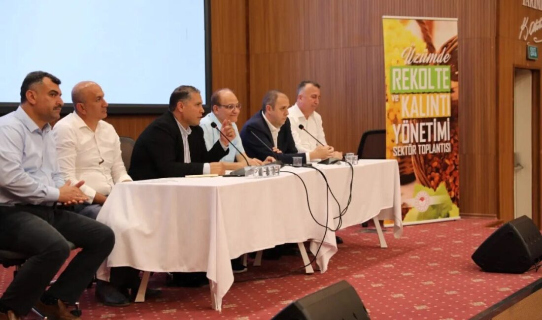 Manisa’da düzenlenen ’Üzümde Rekolte ve Kalıntı Yönetimi Toplantıları’nda sektörün geleceği